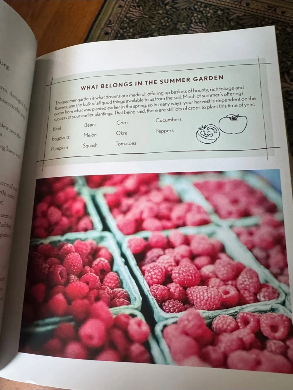 Welcome to the Farm by Shaye Elliott - How-To Wisdom like new